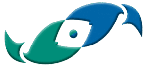 Two little Fishies final