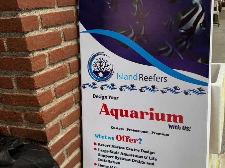 Island Reefers at Fari Campus Mini Market 2025